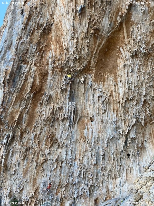 ������������ �� ������� �������� � �������, ���� 23