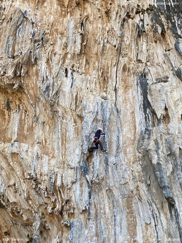 ������������ �� ������� �������� � �������, ���� 28