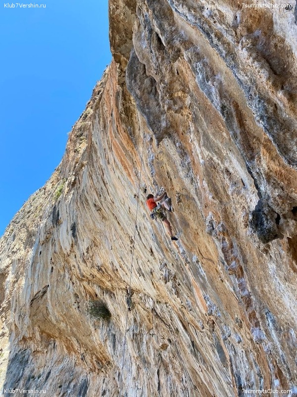 ������������ �� ������� �������� � �������, ���� 30