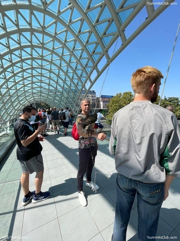 ������ 2021. ��������. ��������� �������, ���� 95