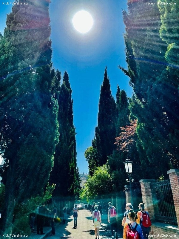 ������ 2021. ��������. ��������� �������, ���� 98