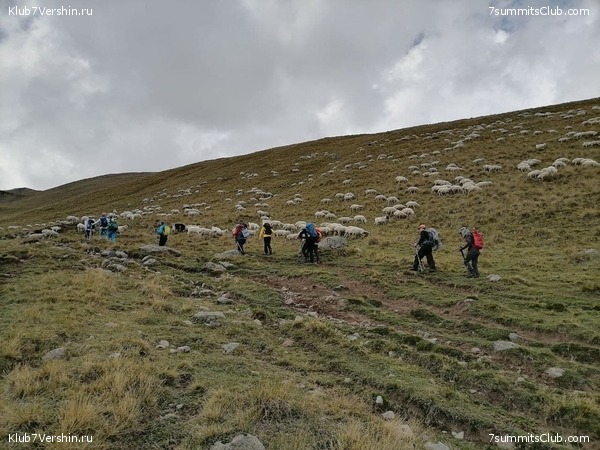 ������ 2021. ��������. ��������� �������, ���� 57