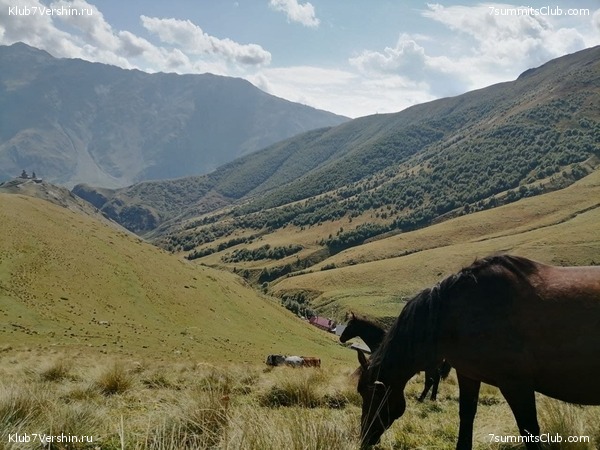 ������ 2021. ��������. ��������� �������, ���� 58