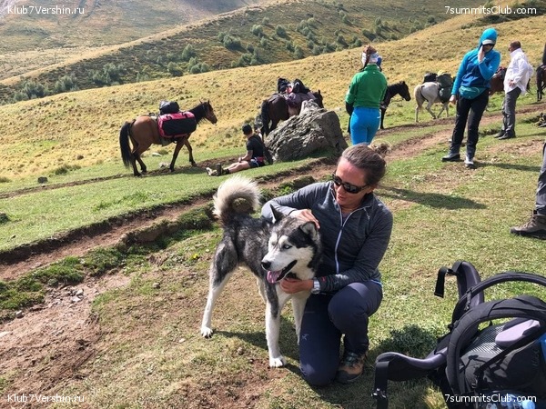 ������ 2021. ��������. ��������� �������, ���� 61