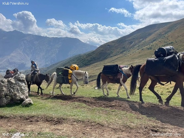 ������ 2021. ��������. ��������� �������, ���� 65