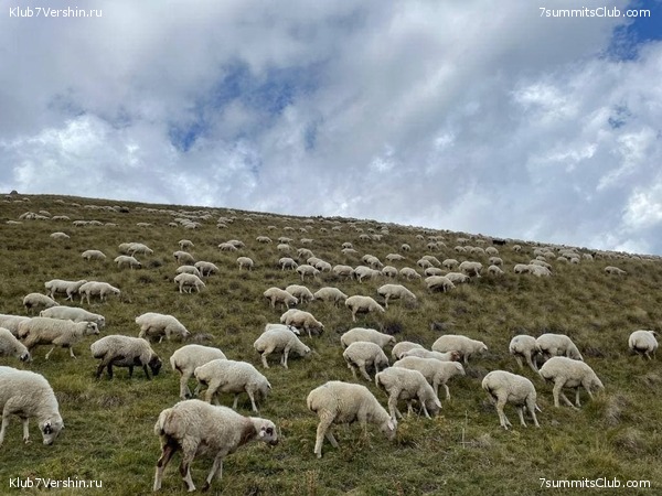 ������ 2021. ��������. ��������� �������, ���� 66