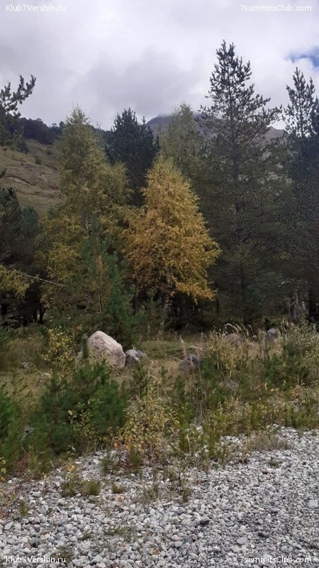 �������. �������� 2021 ����, ���� 133