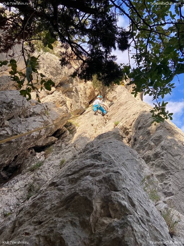 ����. �������� 2021. ����� ����� 7 ������, ���� 125