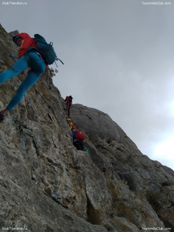 ����. �������� 2021. ����� ����� 7 ������, ���� 131