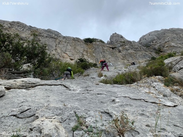 ����. �������� 2021. ����� ����� 7 ������, ���� 64