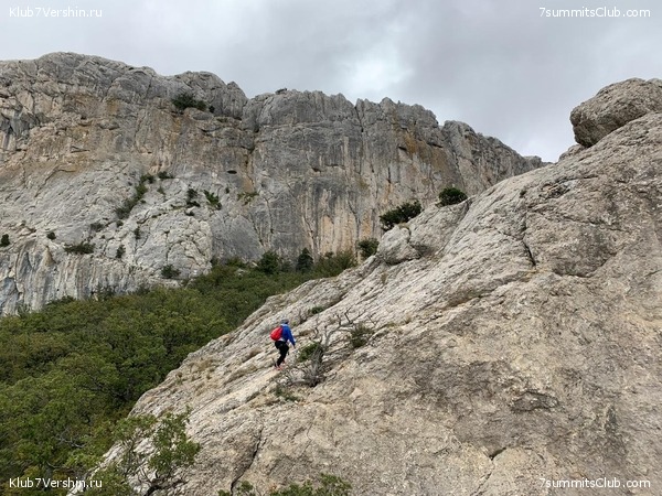 ����. �������� 2021. ����� ����� 7 ������, ���� 70