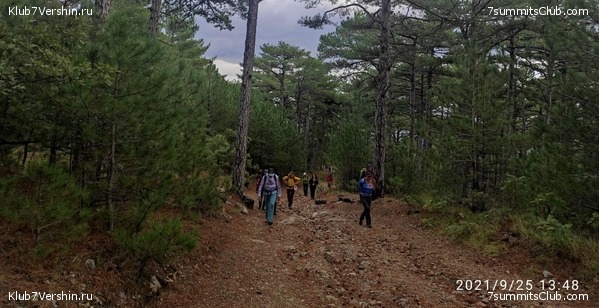 ����. �������� 2021. ����� ����� 7 ������, ���� 17