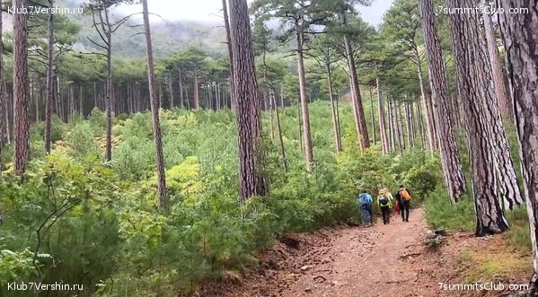 ����. �������� 2021. ����� ����� 7 ������, ���� 24