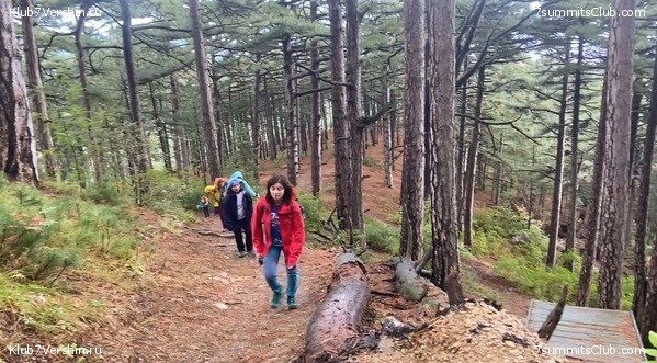 ����. �������� 2021. ����� ����� 7 ������, ���� 25