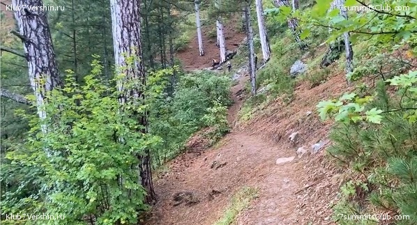 ����. �������� 2021. ����� ����� 7 ������, ���� 21