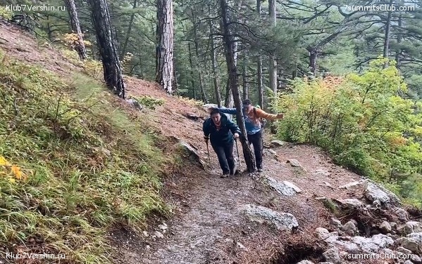 ����. �������� 2021. ����� ����� 7 ������, ���� 41