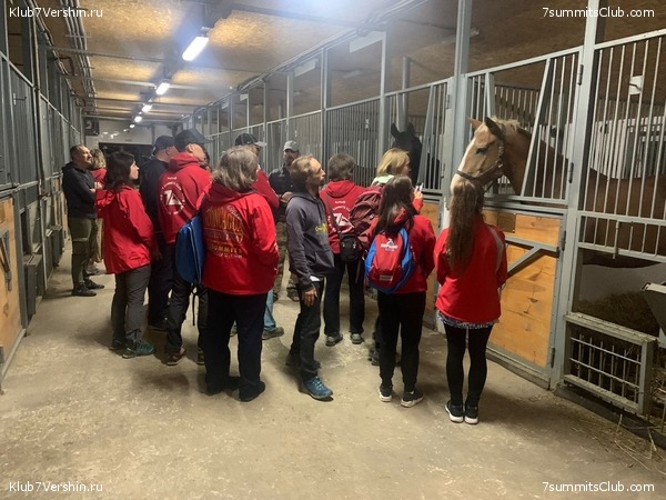 ����. �������� 2021. ����� ����� 7 ������, ���� 99