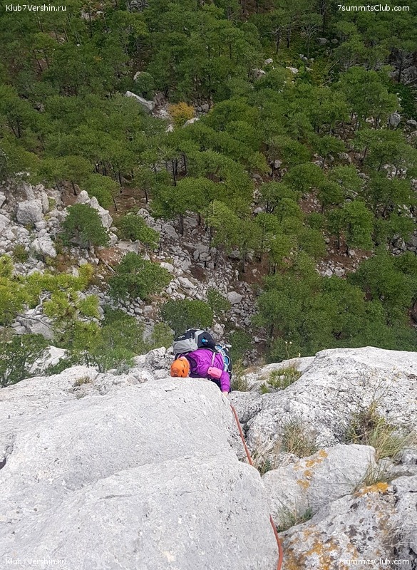 ���� 2020. �����, ���� 116