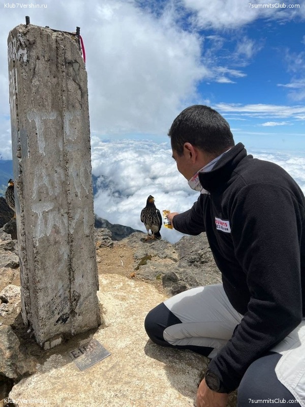 ������� ��������. 2021 ���, ���� 190