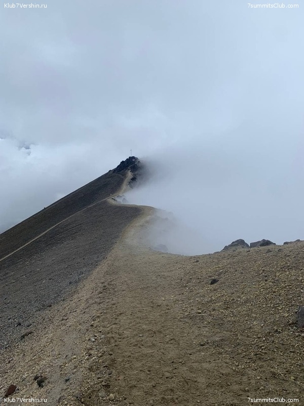 �������. ������� 2021. ������� ���������, ���� 50