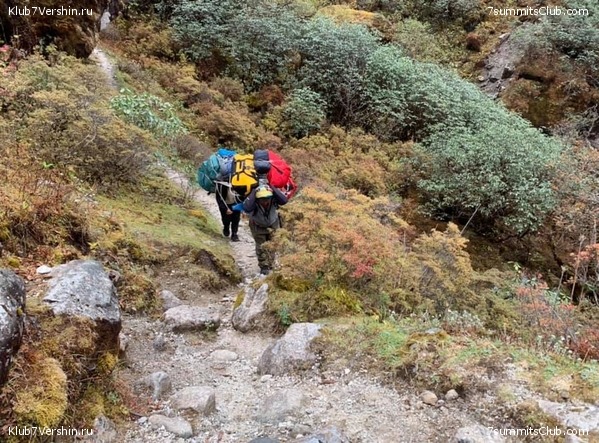 �����. ���� ���, ����� 2021 ����. ��� ���������, ���� 58