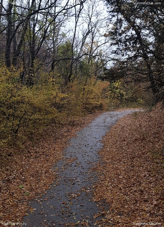 ����. ����� 2021 ����, ���� 47