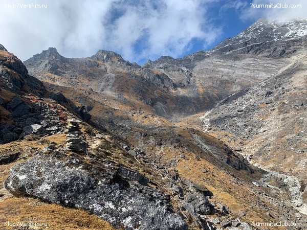 �����. ���� ���, ����� 2021 ����. ��� ���������, ���� 98