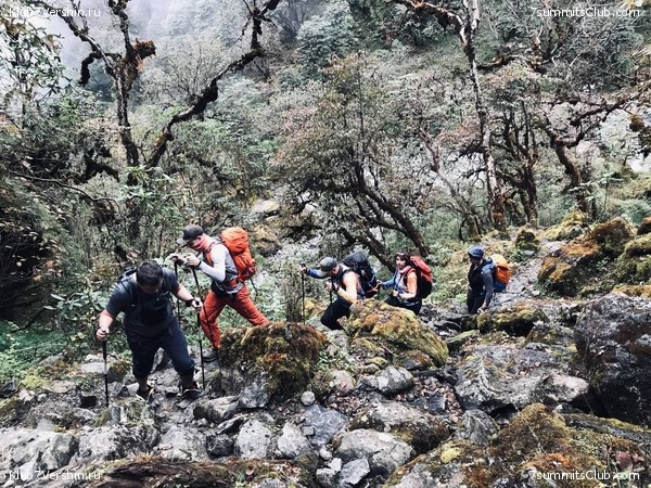 .  ,  2021 .  ,  100