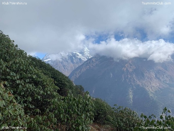 .  ,  2021 .  ,  103