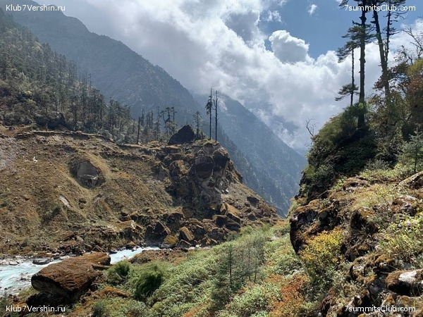 .  ,  2021 .  ,  105