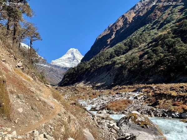 �����. ���� ���, ����� 2021 ����. ��� ���������, ���� 71