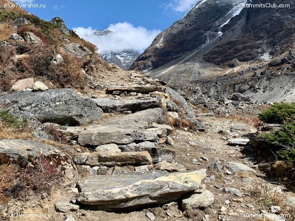 �����. ���� ���, ����� 2021 ����. ��� ���������, ���� 108