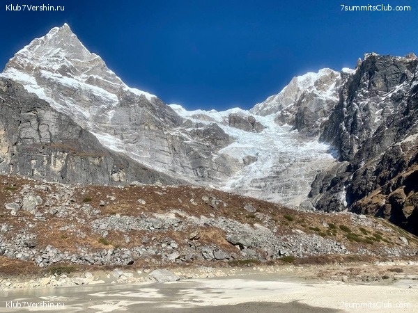 �����. ���� ���, ����� 2021 ����. ��� ���������, ���� 115