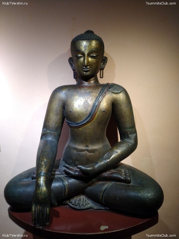 ����� 2021. ���� � ���-������. ������ �������, ���� 115