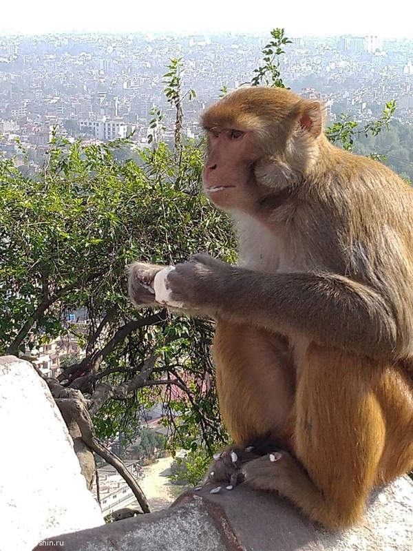 ����� 2021. ���� � ���-������. ������ �������, ���� 118