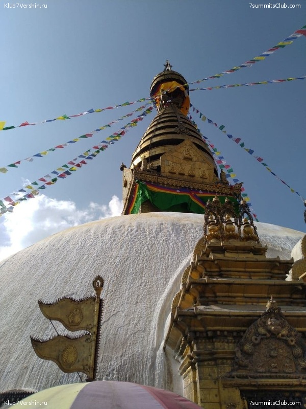 ����� 2021. ���� � ���-������. ������ �������, ���� 119