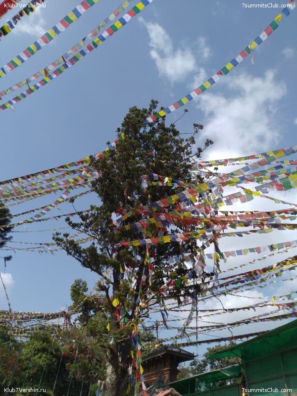 ����� 2021. ���� � ���-������. ������ �������, ���� 123