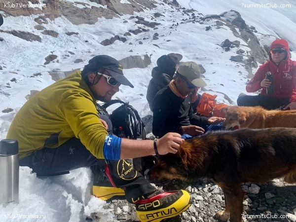 �����. ���� ���, ����� 2021 ����. ��� ���������, ���� 138