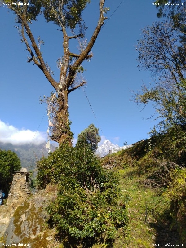 ����� 2021. ���� � ���-������. ������ �������, ���� 129