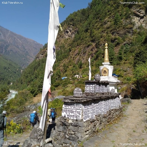 ����� 2021. ���� � ���-������. ������ �������, ���� 61