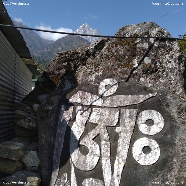 ����� 2021. ���� � ���-������. ������ �������, ���� 63