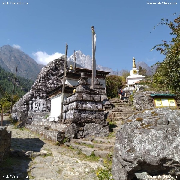 ����� 2021. ���� � ���-������. ������ �������, ���� 65