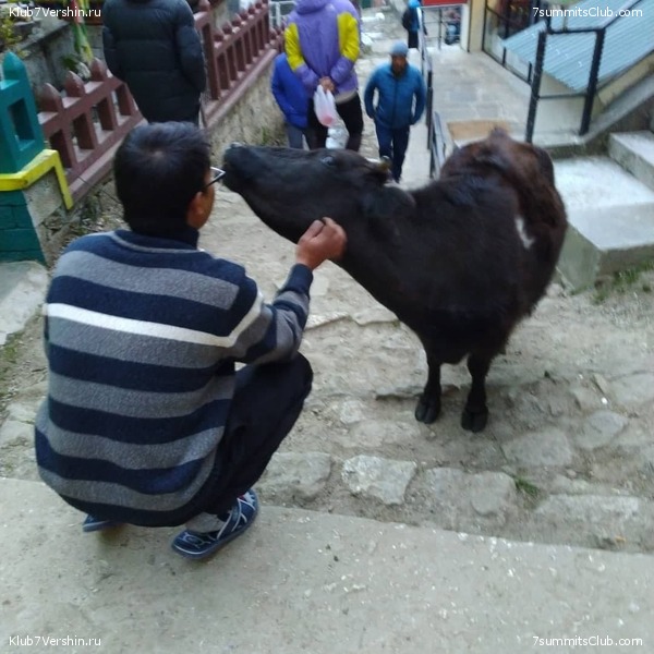 ����� 2021. ���� � ���-������. ������ �������, ���� 74