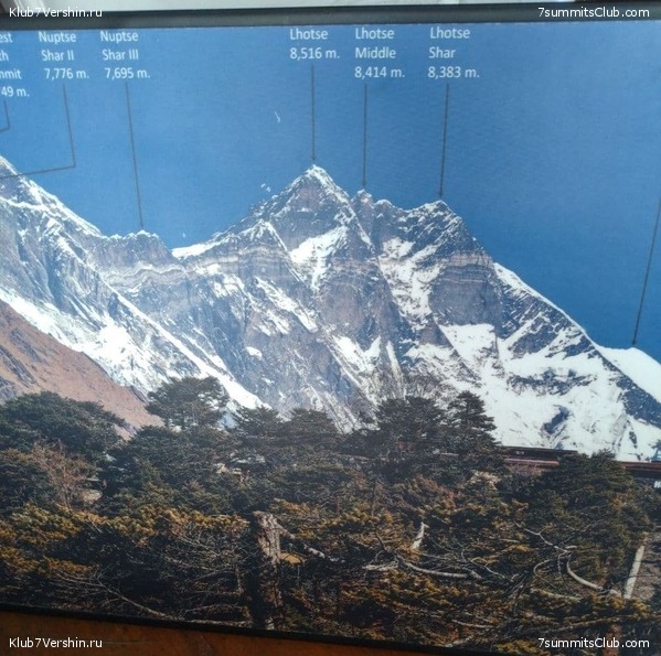 ����� 2021. ���� � ���-������. ������ �������, ���� 49