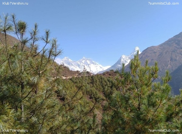 ����� 2021. ���� � ���-������. ������ �������, ���� 21