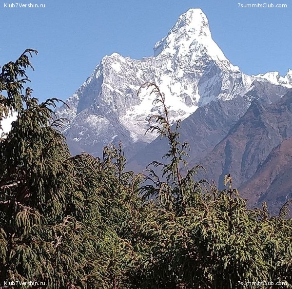 ����� 2021. ���� � ���-������. ������ �������, ���� 48