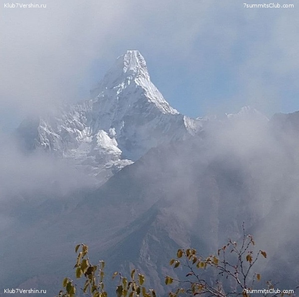 ����� 2021. ���� � ���-������. ������ �������, ���� 50