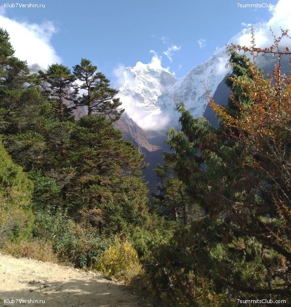 ����� 2021. ���� � ���-������. ������ �������, ���� 87