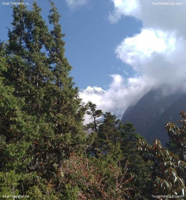 ����� 2021. ���� � ���-������. ������ �������, ���� 95