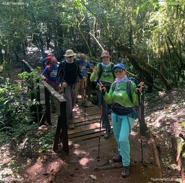 ������������. ������ 2021. ��������� ���������, ���� 39